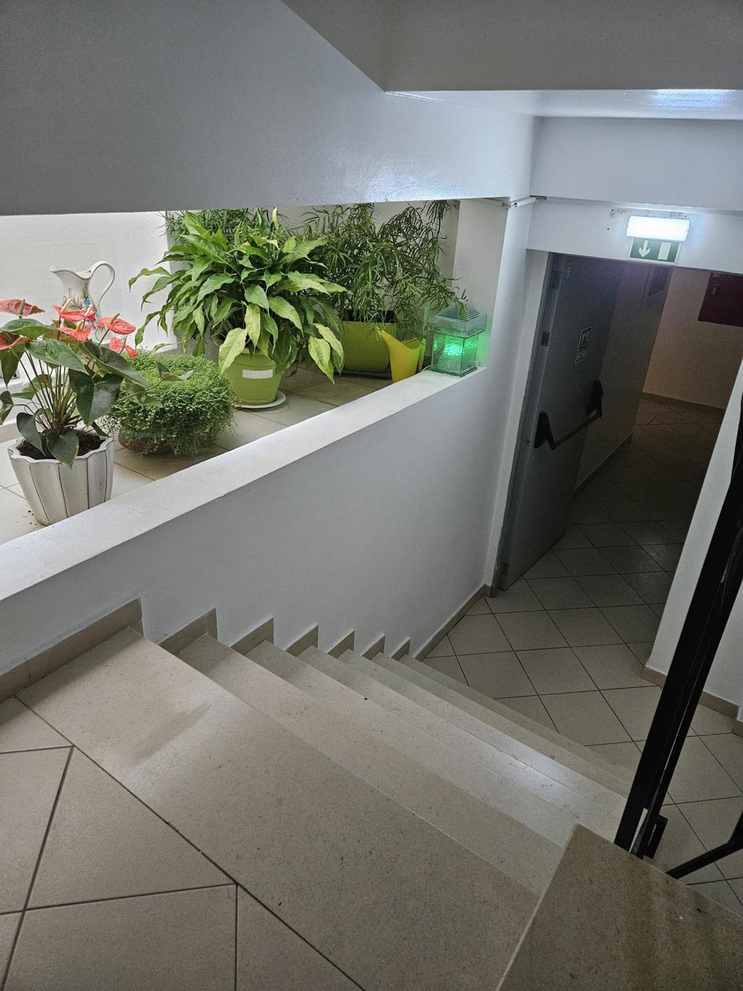 פארו Hotel Adelaide מראה חיצוני תמונה